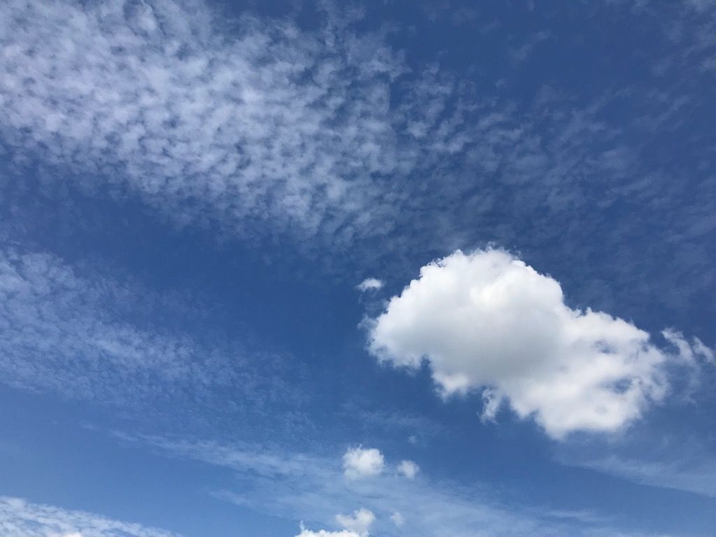 空の雲の写真 植木屋の三代目をやってます村野園のブログです 楽天ブログ