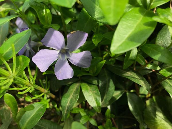 rblog-20180408160645-01.jpg