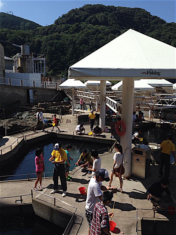 rblog-20140907194340-07.jpg