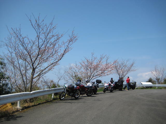 IMG_2943.JPG