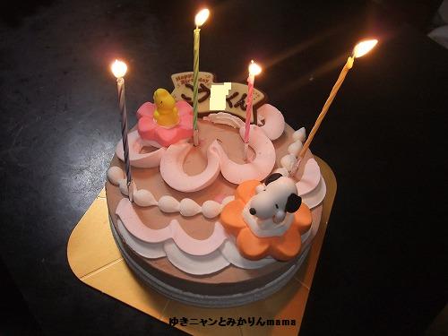 DSCF0586.jpg