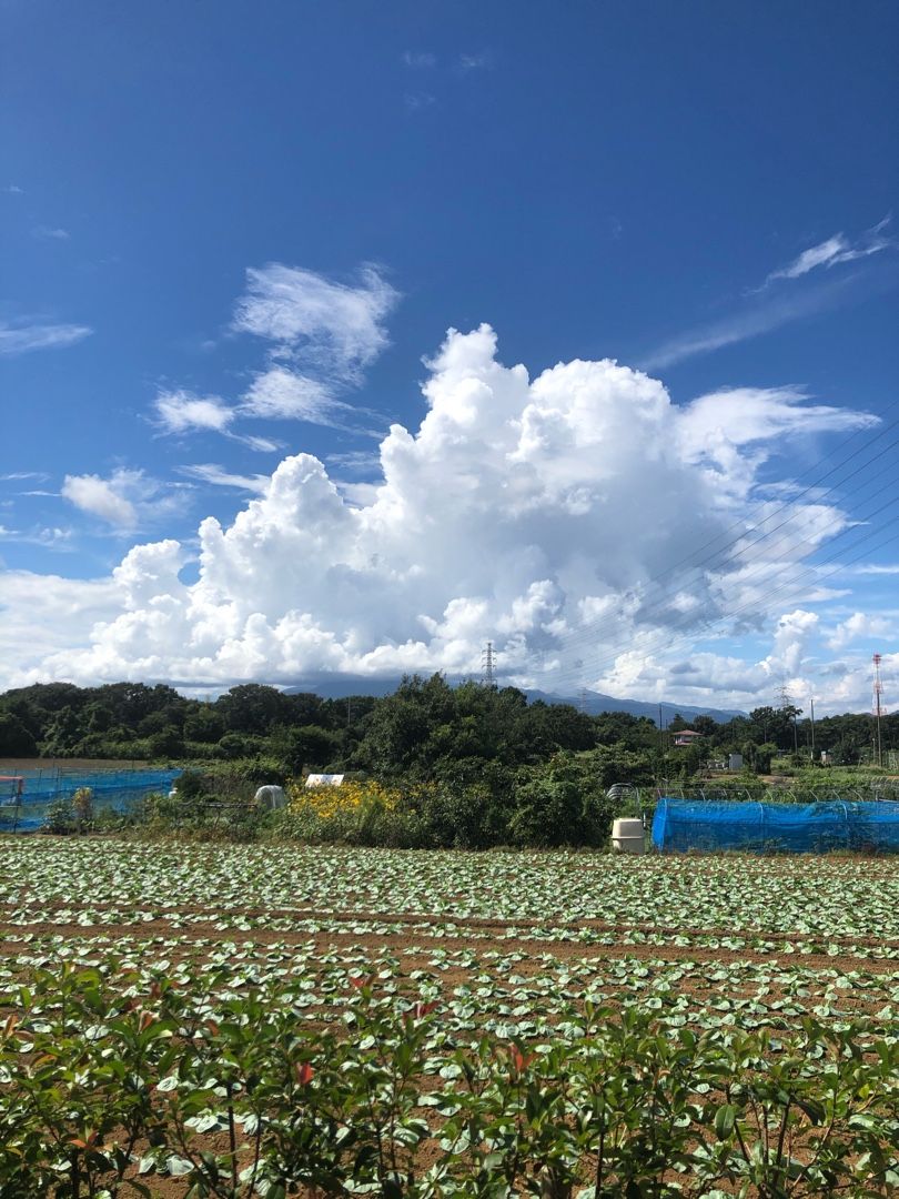 歴史館からの入道雲 尾上 茂 の日記 おのログ 楽天ブログ