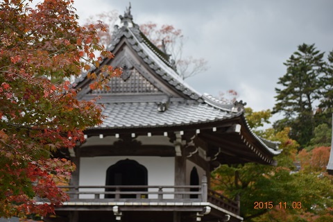 DSC_0179.JPG