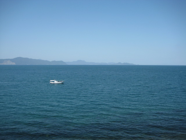 IMG_7967.JPG