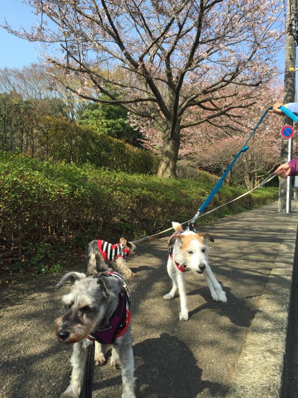 rblog-20160401013242-03.jpg