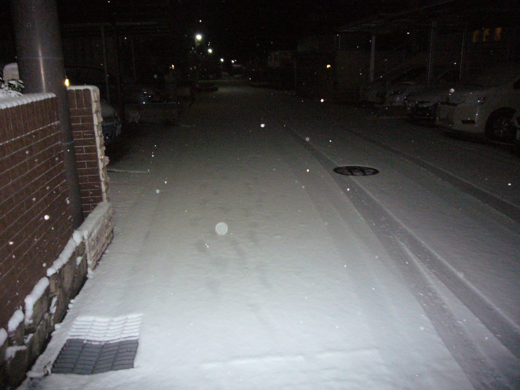 P1170348-.jpg