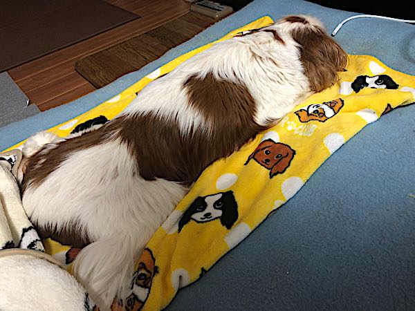 rblog-20180402213552-01.jpg