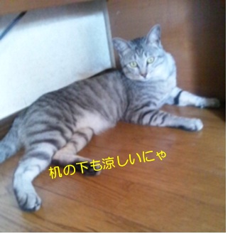 20120718_3.jpg