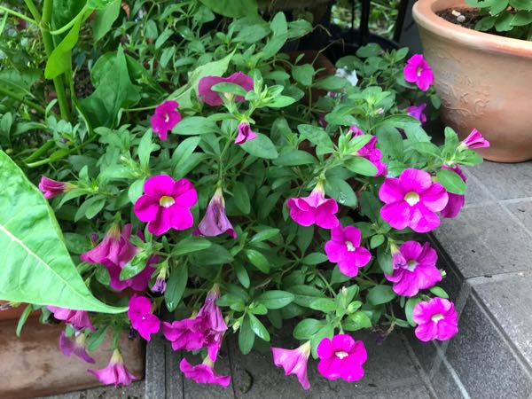 rblog-20180624175618-00.jpg