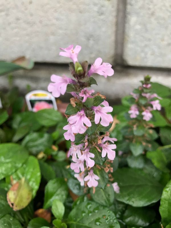 rblog-20180430175651-03.jpg