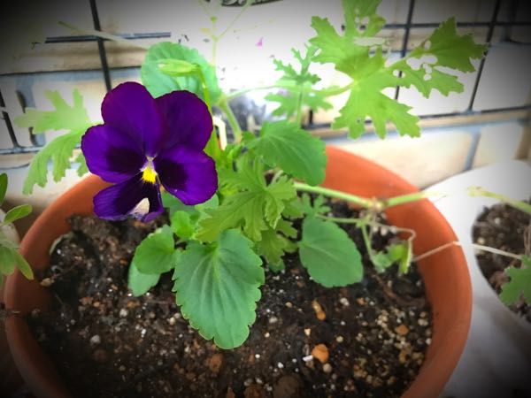 rblog-20160930205405-01.jpg