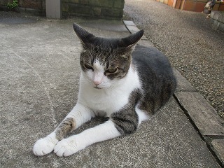 IMG_0296ss.jpg