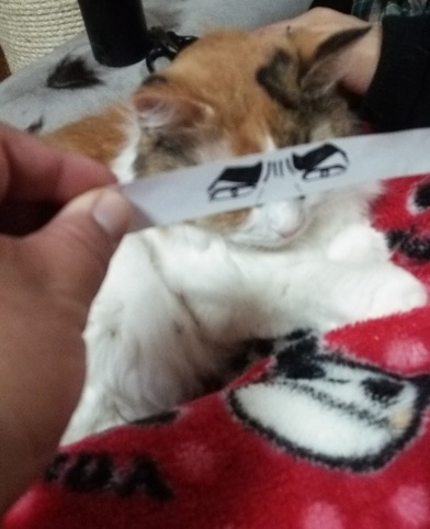みゴルゴ.JPG