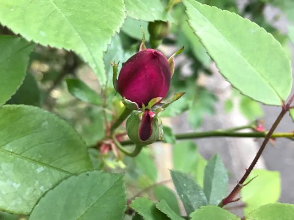 rblog-20180408182540-01.jpg