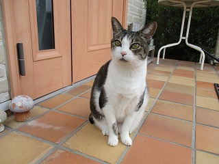 IMG_2642ss.jpg