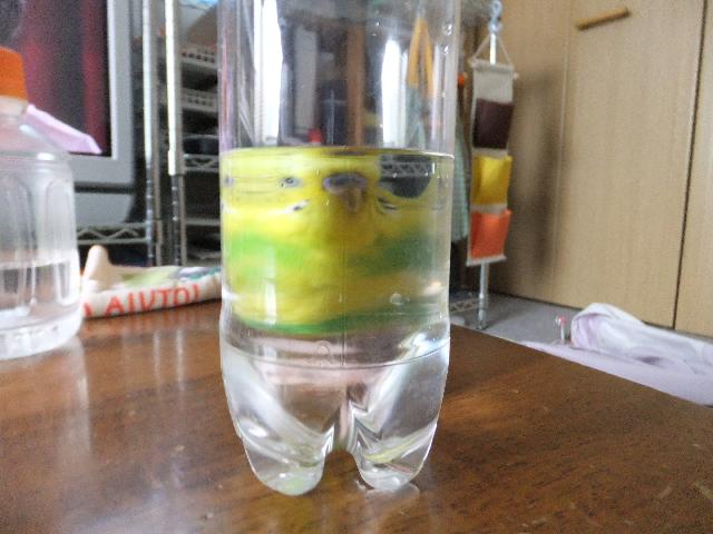 DSCF2753.jpg