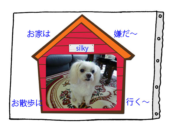 犬小屋入りシルキー