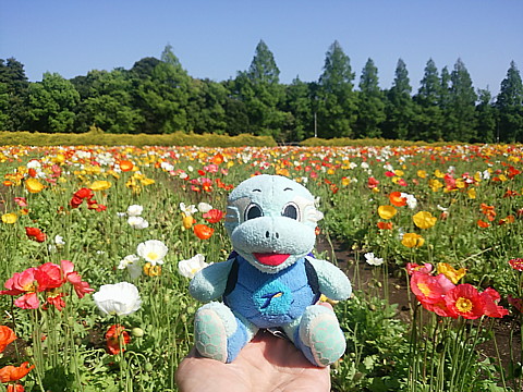 IMG_20160504_090638.jpg