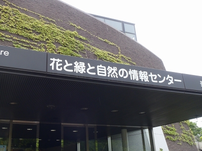 大阪市立自然史博物館2014年8月上旬3　花と緑と自然の情報センター