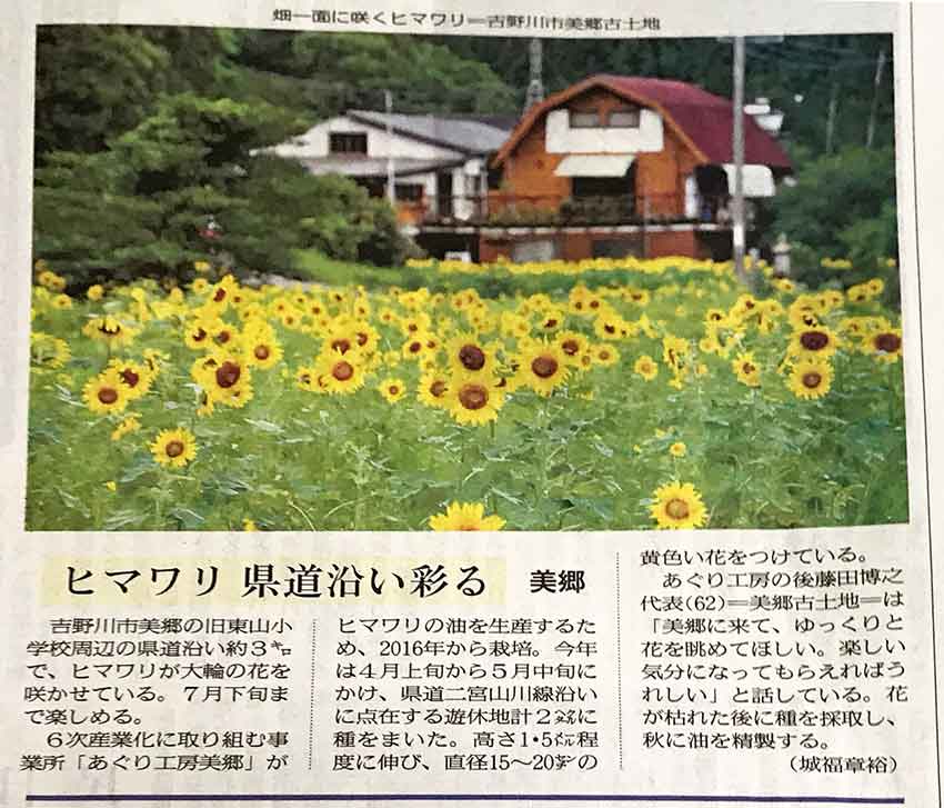 吉野川市美郷 東山地区のヒマワリ畑 すえドン の四方山話 楽天ブログ