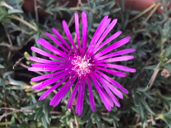 rblog-20170926174258-01.jpg