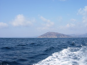 03.JPG