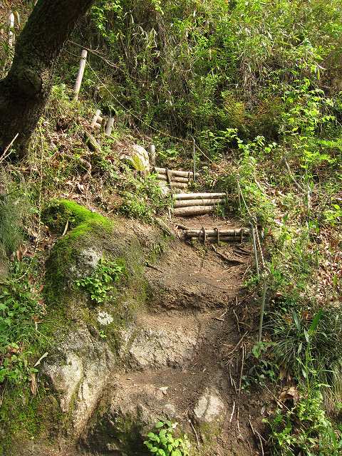 IMG_7278.jpg