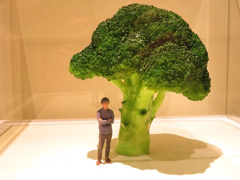 MINIATURE LIFE展 ～田中達也 見立ての世界～  星とカワセミ好きの 