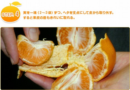 s-mikan_step04.jpg
