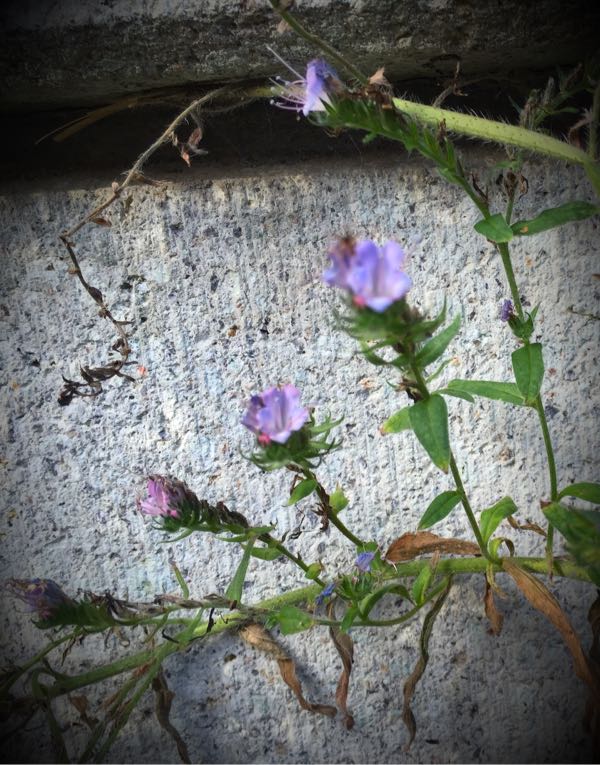 rblog-20160731172856-08.jpg