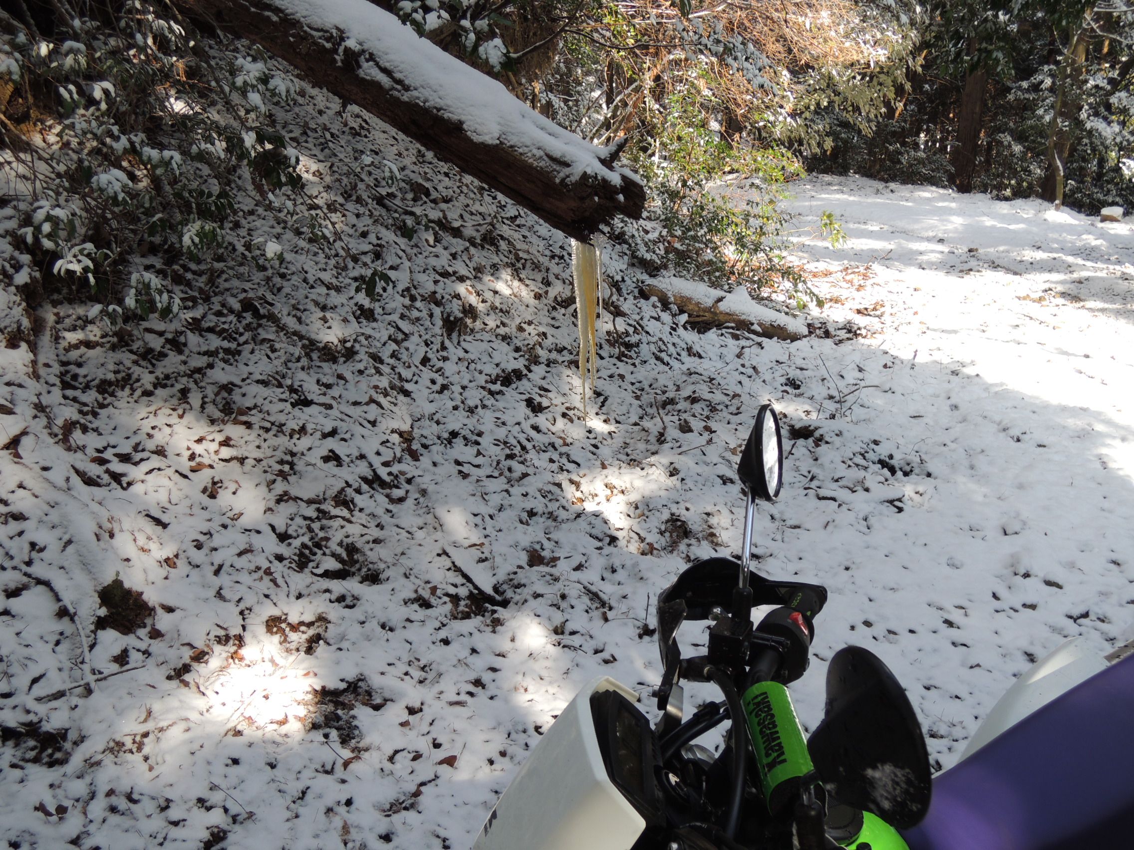 雪の予報なのに | たけたけの休日 バイクとお寺と登山 - 楽天ブログ