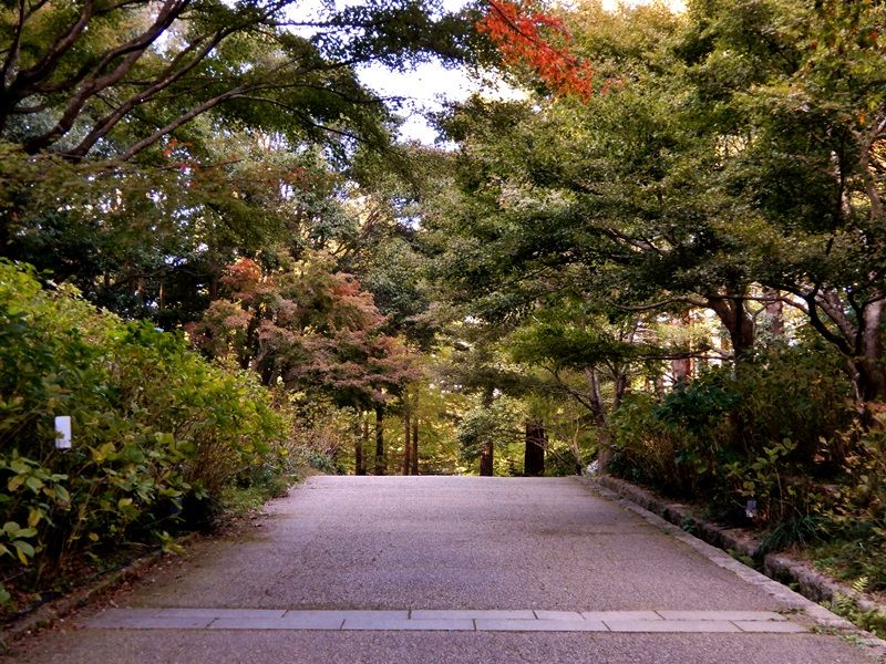 あじさい坂22