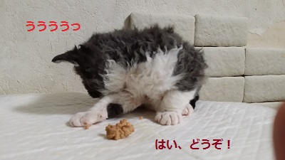 20151003-12