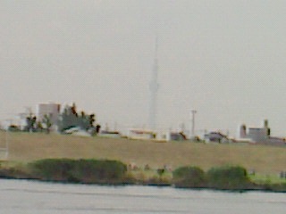 NEC_0010.JPG