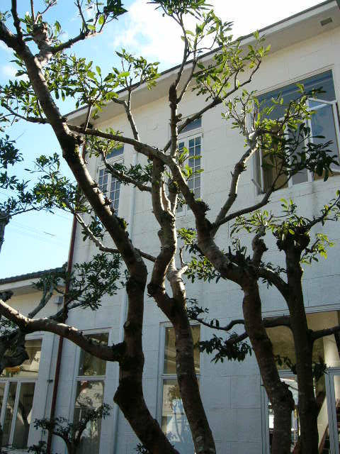 P1080300.JPG