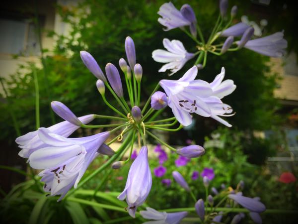 rblog-20160630184033-09.jpg