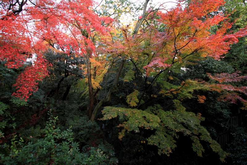 東福寺_005.jpg