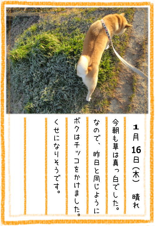 0116霜.jpg