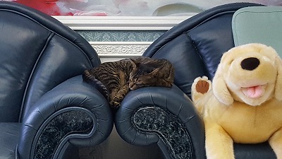 20160909_191352.jpg