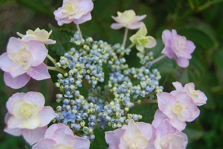 s-DSC_0386.jpg