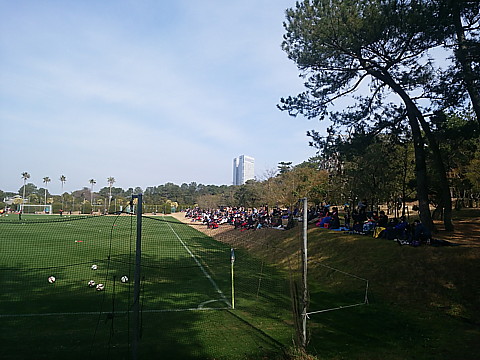 IMG_20150125_123147.jpg