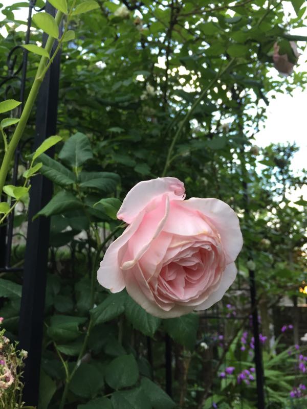 rblog-20170525230413-05.jpg