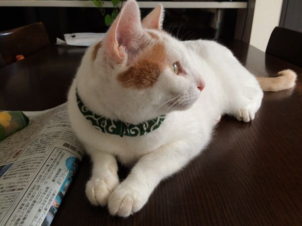 rblog-20150816091821-03.jpg
