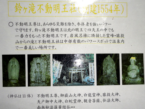 DSC01474-500.jpg