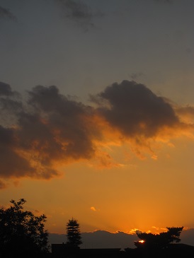 IMG_2594.JPG