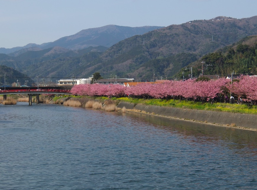 スクリーンショット 2015-03-01 10.51.17.jpg