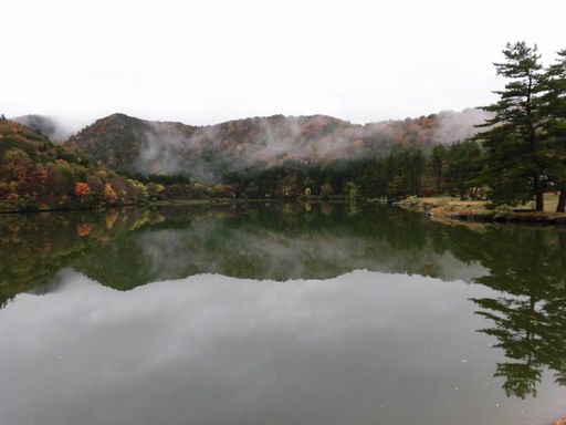 15.11.09大野池２.JPG