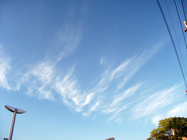 DSCF8387.jpg