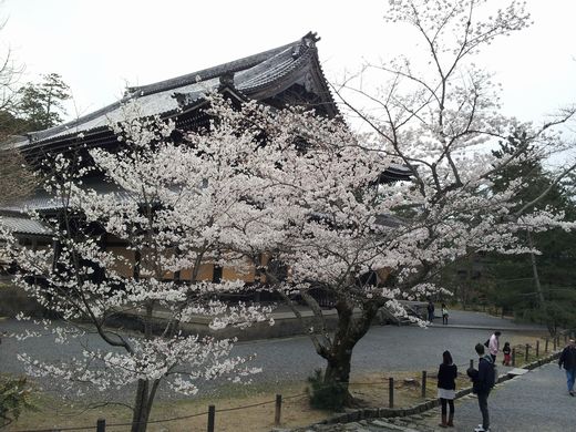 20130331_124949 南禅寺