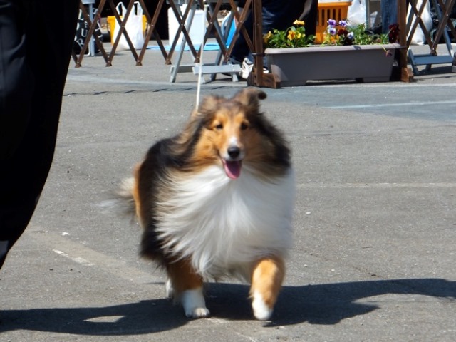 DSCF1384 - コピー.JPG